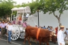 20160807 ROMERIA BENALMADNEA PUEBLO (75)
