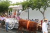 20160807 ROMERIA BENALMADNEA PUEBLO (75)