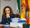 20161222 Pleno Ayuntamiento Benalmadena (12)