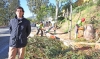 CONCEJAL PARQUES Y JARDINES VISITA TALA EUCALIPTOS EN AVENIDA VERACRUZ 1 CONCEJAL PARQUES Y JARDINES VISITA TALA EUCALIPTOS EN AVENIDA VERACRUZ 1