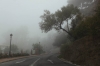 NIEBLA EN BENALMADENA 4 NIEBLA EN BENALMADENA 4