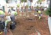 OBRAS EN PLAZA AVENIDA JUAN LUIS PERALTA 1