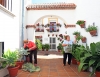 VECINOS ENGALANAN CALLES PUEBLO VECINOS ENGALANAN CALLES PUEBLO