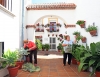 VECINOS ENGALANAN CALLES PUEBLO