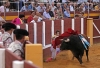 CORRIDA TOROS FERIA ROSARIO FUENGIROLA