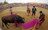 CORRIDA TOROS FERIA ROSARIO FUENGIROLA 1 2