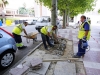 OBRAS DE MEJORA EN LA AVENIDA ROBERTO OLID 1