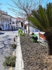 TRABAJOS DE JARDINERIA EN BENALMADENA PUEBLO