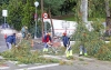 TRABAJOS DE TALA DE EUCALIPTOS EN PARADA TAXI BENALMADENA PUEBLO 4 TRABAJOS DE TALA DE EUCALIPTOS EN PARADA TAXI BENALMADENA PUEBLO 4