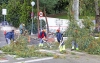 TRABAJOS DE TALA DE EUCALIPTOS EN PARADA TAXI BENALMADENA PUEBLO 4