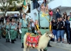 20140413 Domingo de Ramos Coronado de Espinas Arroyo de la Miel (8)