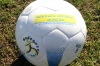 20120114 balones PDM (4)