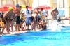 20120728 campeonato natacion (1)