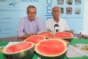 20140702 Promocion producto andaluz (2) 20140702 Promocion producto andaluz (2)