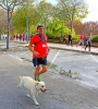 34 CARRERA DEL PAVO 2016 (223) 34 CARRERA DEL PAVO 2016 (223)
