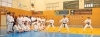 EXHIBICION INTERNACIONAL DE KARATE EN POLIDEPORTIVO ARROYO DE LA MIEL 1 EXHIBICION INTERNACIONAL DE KARATE EN POLIDEPORTIVO ARROYO DE LA MIEL 1