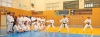 EXHIBICION INTERNACIONAL DE KARATE EN POLIDEPORTIVO ARROYO DE LA MIEL 1