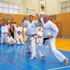 EXHIBICION INTERNACIONAL DE KARATE EN POLIDEPORTIVO ARROYO DE LA MIEL 2 EXHIBICION INTERNACIONAL DE KARATE EN POLIDEPORTIVO ARROYO DE LA MIEL 2