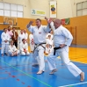 EXHIBICION INTERNACIONAL DE KARATE EN POLIDEPORTIVO ARROYO DE LA MIEL 2