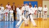 EXHIBICION INTERNACIONAL DE KARATE EN POLIDEPORTIVO ARROYO DE LA MIEL 5 EXHIBICION INTERNACIONAL DE KARATE EN POLIDEPORTIVO ARROYO DE LA MIEL 5