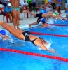 Natación Campeonato Benalmádena