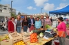 ALCALDESA Y CONCEJALES VISITAN I FERIA ECOLOGICA