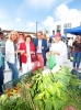 ALCALDESA Y CONCEJALES VISITAN I FERIA ECOLOGICA 1