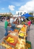 I FERIA ECOLOGICA EN PUEBLOSOL