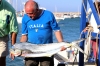 XXII TORNEO DE PESCA DE ALTURA XXII TORNEO DE PESCA DE ALTURA