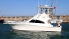 XXII TORNEO DE PESCA DE ALTURA XXII TORNEO DE PESCA DE ALTURA