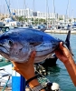 20170827 Pesca de Altura 2017 (2) 20170827 Pesca de Altura 2017 (2)
