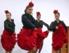 5º ENCUENTRO CULTURA IBEROAMERICANA EN PUERTO DEPORTIVO BENALMADENA 8 5º ENCUENTRO CULTURA IBEROAMERICANA EN PUERTO DEPORTIVO BENALMADENA 8