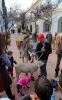 CELEBRACION SAN ANTON EN BENALMADENA