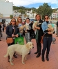 CELEBRACION SAN ANTON EN BENALMADENA 3