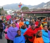 DESFILE CARNAVAL EN ARROYO DE LA MIEL 3