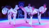 FINAL IV BENALMADENA CUP TAEKWONDO EN POLIDEPORTIVO