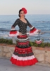 Desfile Bil-Bil Desfile Bil-Bil