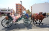 ROMERIA SAN JUAN 2014 41 ROMERIA SAN JUAN 2014 41