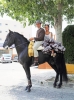 ROMERIA SAN JUAN 2014 53 ROMERIA SAN JUAN 2014 53