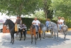 ROMERIA SAN JUAN 2014 54