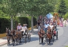 ROMERIA SAN JUAN 2014 56 ROMERIA SAN JUAN 2014 56
