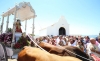 ROMERIA VIRGEN DE LA CRUZ BENALMADENA PUEBLO 50