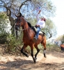 ROMERIA VIRGEN DE LA CRUZ BENALMADENA PUEBLO 77