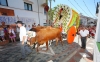 ROMERIA VIRGEN DE LA CRUZ BENALMADENA PUEBLO 9