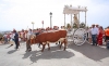 ROMERIA VIRGEN DE LA CRUZ DE BENALMADENA PUEBLO 12 ROMERIA VIRGEN DE LA CRUZ DE BENALMADENA PUEBLO 12