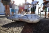 XXI TORNEO PESCA ALTURA 2014 EN PUERTO DEPORTIVO BENALMADENA 24 XXI TORNEO PESCA ALTURA 2014 EN PUERTO DEPORTIVO BENALMADENA 24