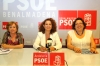 20130611 rp PSOE playas