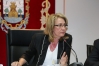 20140529 pleno ayto Benalmadena (4)