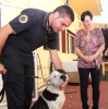 20130506 Practicas caninas Bomberos Benalmadena (6)