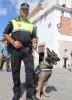 20140522 Pres Patrulla Canina (4) 20140522 Pres Patrulla Canina (4)